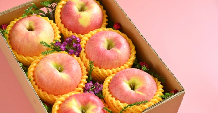 綜合水果籃(五果籃)