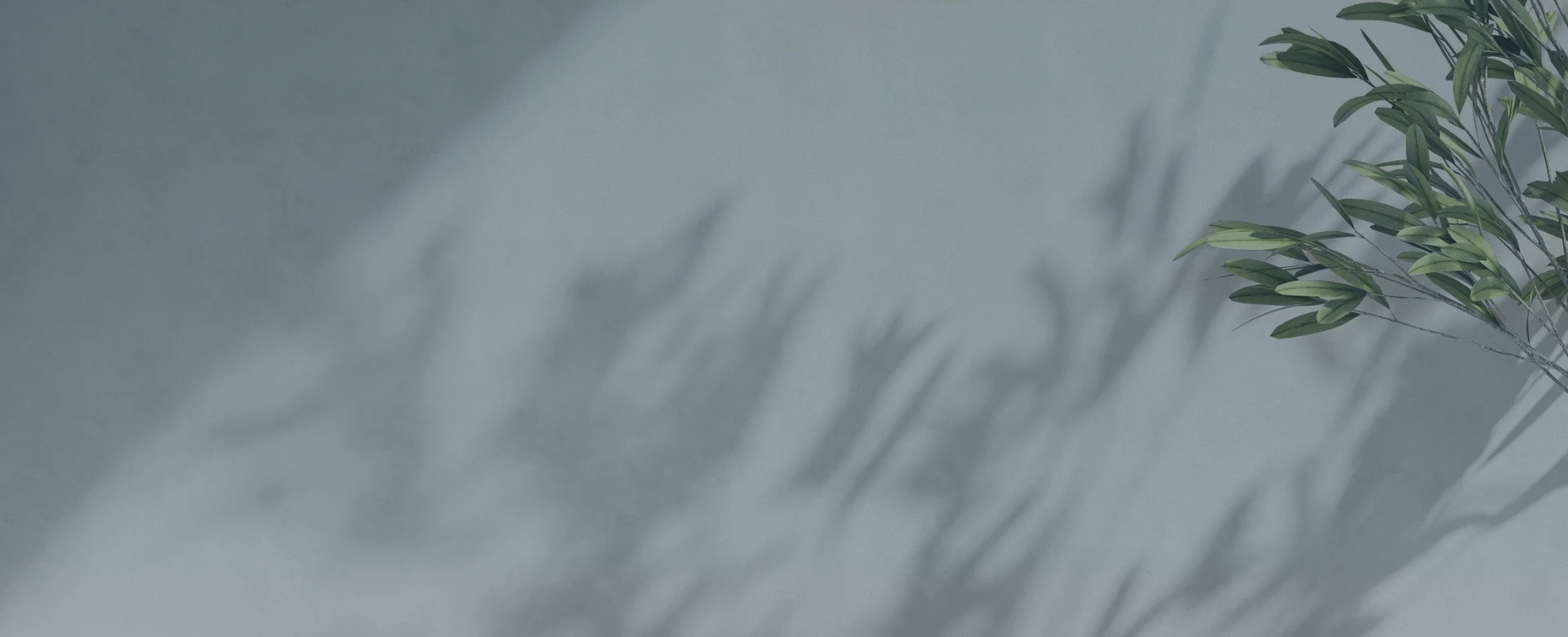 天成圓滿實業股份有限公司