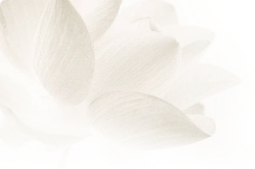 天成圓滿實業股份有限公司